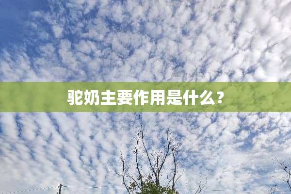 驼奶主要作用是什么？