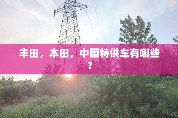 丰田，本田，中国特供车有哪些？