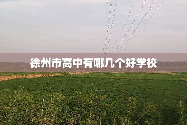 徐州市高中有哪几个好学校