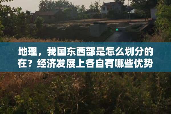 地理，我国东西部是怎么划分的在？经济发展上各自有哪些优势与劣势？