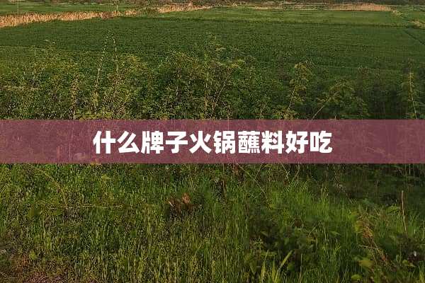 什么牌子火锅蘸料好吃