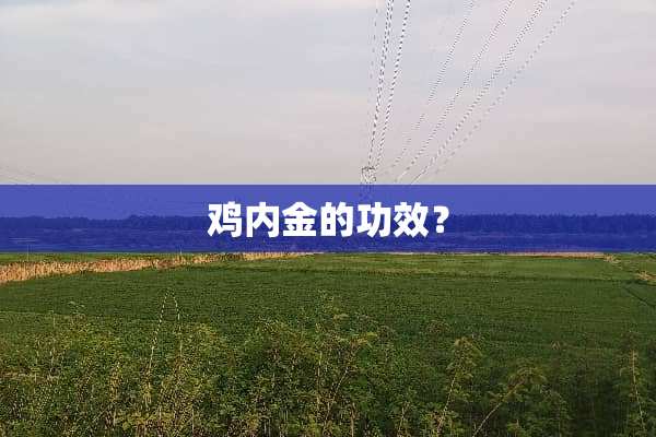 鸡内金的功效？