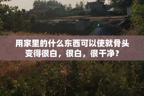 用家里的什么东西可以使就骨头变得很白，很白，很干净？