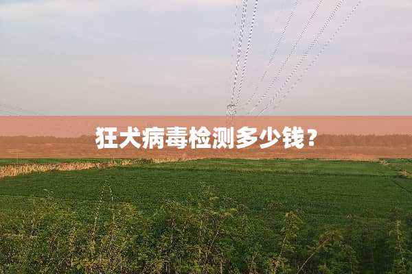 狂犬**检测多少钱？