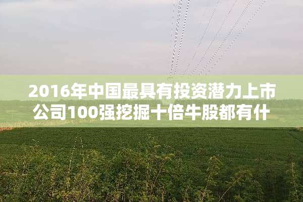 2016年中国最具有投资潜力上市公司100强挖掘十倍牛股都有什么股票