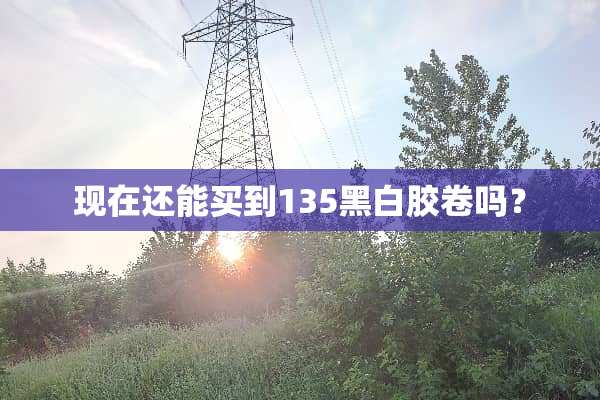 现在还能买到135黑白胶卷吗？