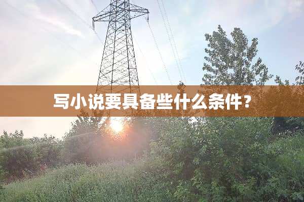 写小说要具备些什么条件？