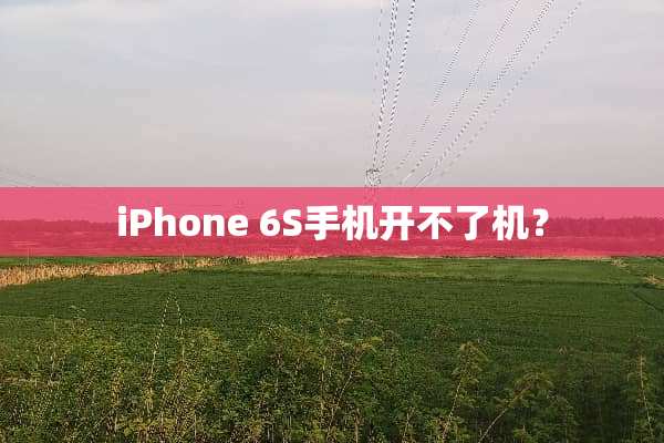 iPhone 6S手机开不了机？