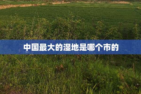 中国最大的湿地是哪个市的