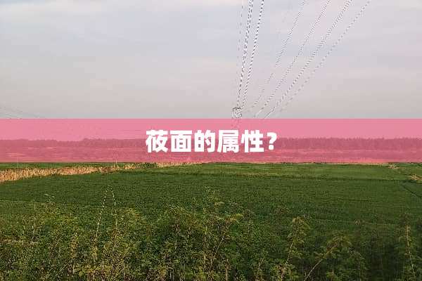 莜面的属性？