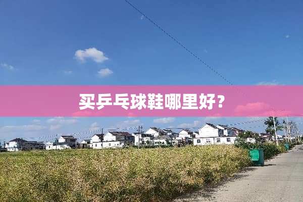 买乒乓球鞋哪里好？