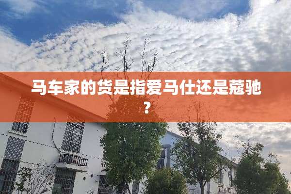 马车家的货是指爱马仕还是蔻驰？