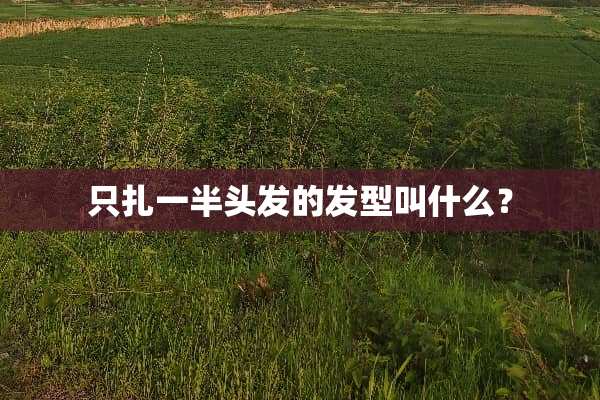 只扎一半头发的发型叫什么？