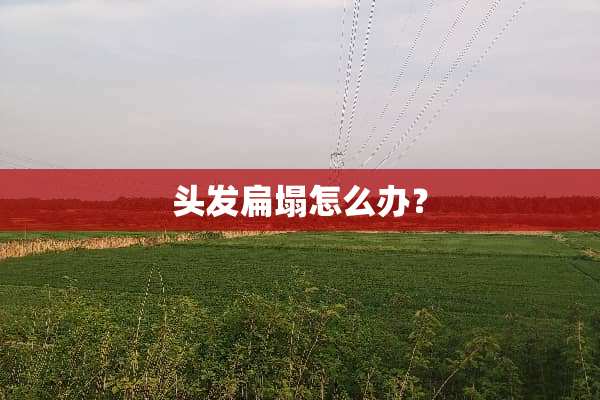 头发扁塌怎么办？