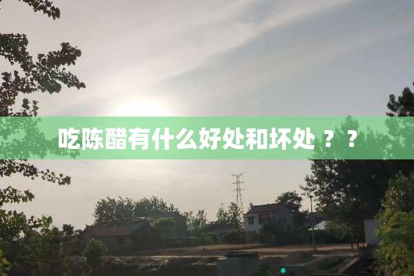 吃陈醋有什么好处和坏处 ？？
