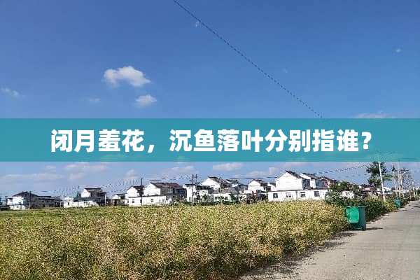 闭月羞花，沉鱼落叶分别指谁？