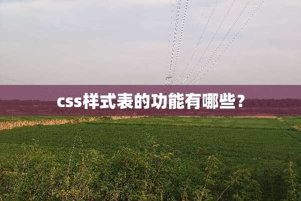css样式表的功能有哪些？