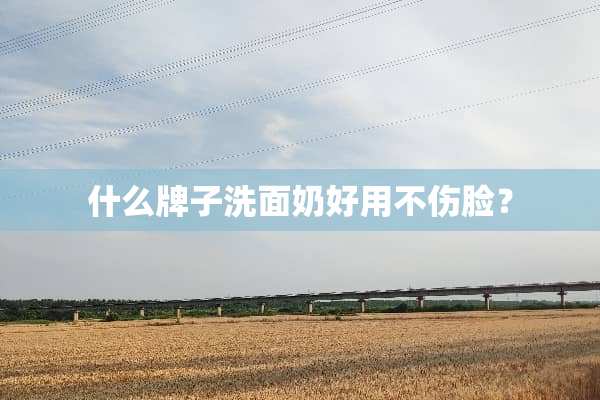什么牌子洗面奶好用不伤脸？