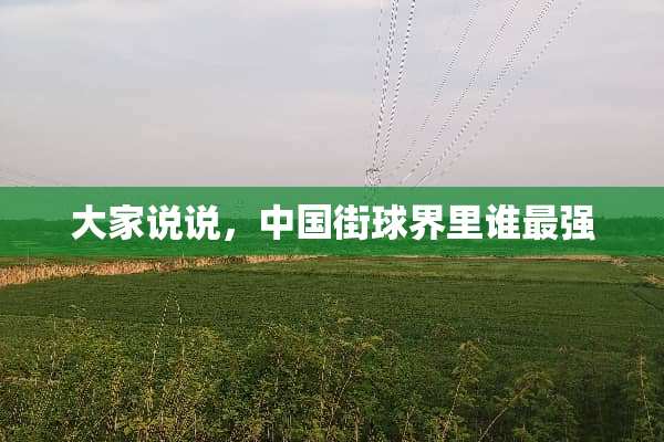 大家说说，中国街球界里谁最强