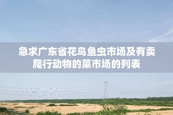 急求广东省花鸟鱼虫市场及有卖爬行动物的菜市场的列表