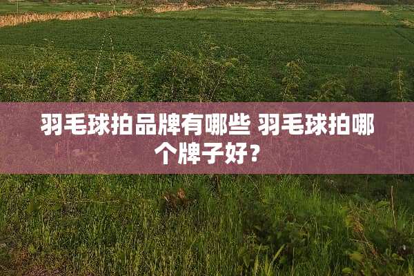羽毛球拍品牌有哪些 羽毛球拍哪个牌子好？
