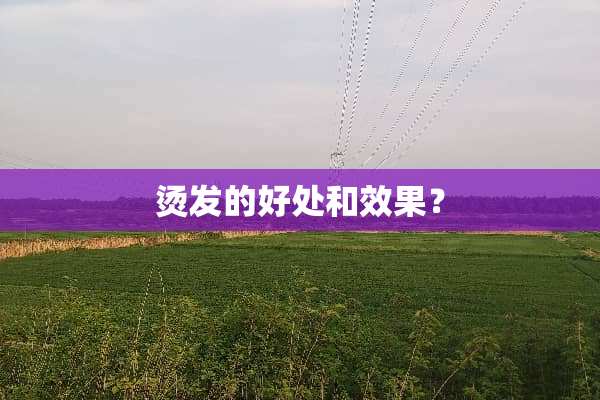 烫发的好处和效果？