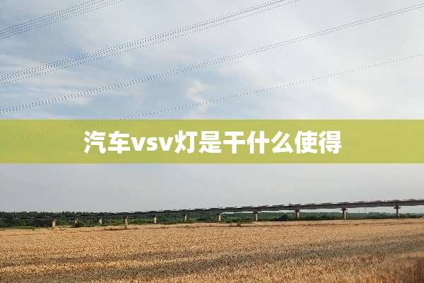 汽车vsv灯是干什么使得