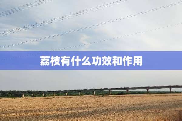 荔枝有什么功效和作用