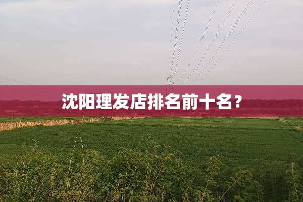 沈阳理发店排名前十名？