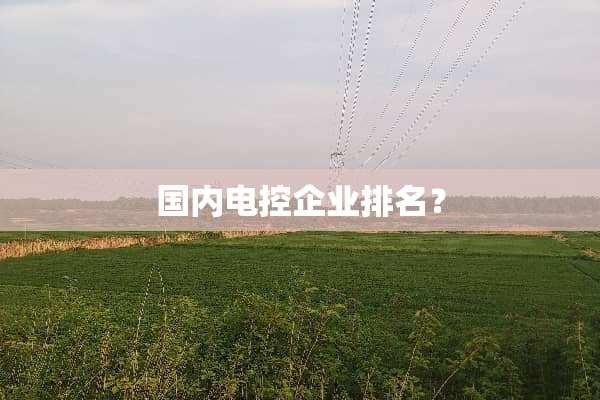 国内电控企业排名？