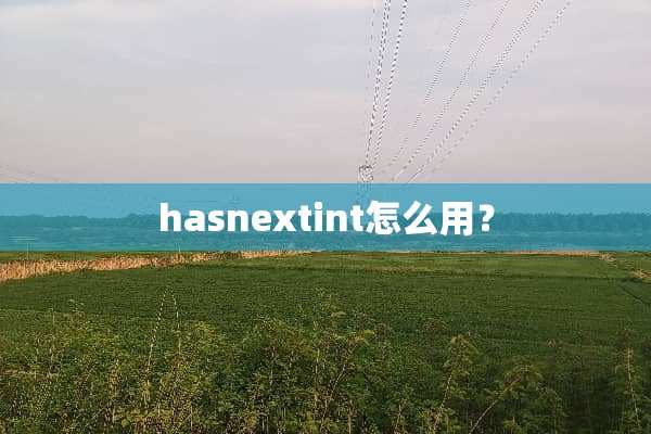 hasnextint怎么用？