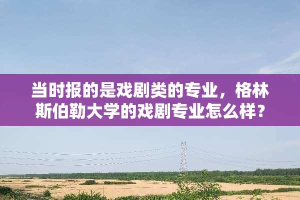 当时报的是戏剧类的专业，格林斯伯勒大学的戏剧专业怎么样？