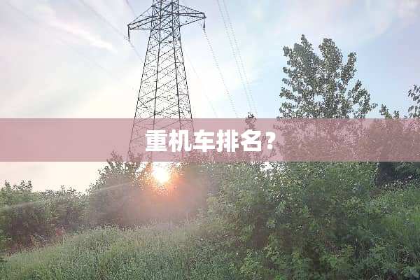 重机车排名？