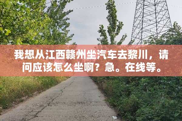 我想从江西赣州坐汽车去黎川，请问应该怎么坐啊？急。在线等。