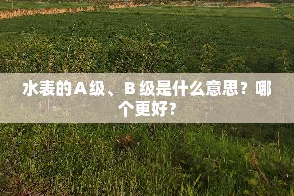 水表的Ａ级、Ｂ级是什么意思？哪个更好？