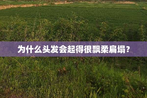 为什么头发会起得很飘柔扁塌？