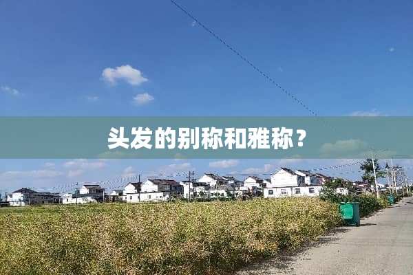 头发的别称和雅称？