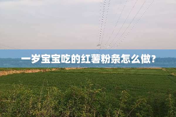 一岁宝宝吃的红薯粉条怎么做？