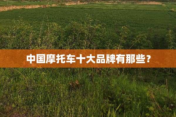 中国摩托车十大品牌有那些？