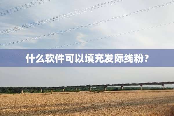 什么软件可以填充发际线粉？