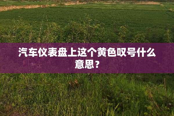 汽车仪表盘上这个**叹号什么意思？