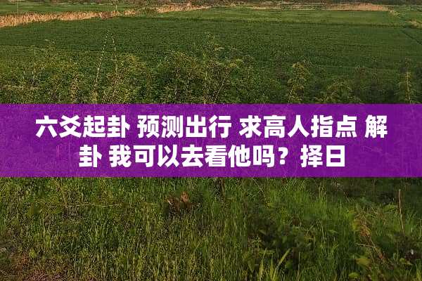 六爻起卦 预测出行 求高人指点 解卦 我可以去看他吗？择日