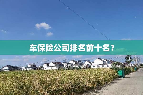 车保险公司排名前十名？