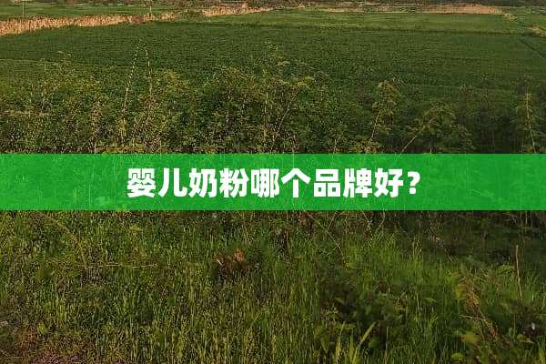 婴儿奶粉哪个品牌好？