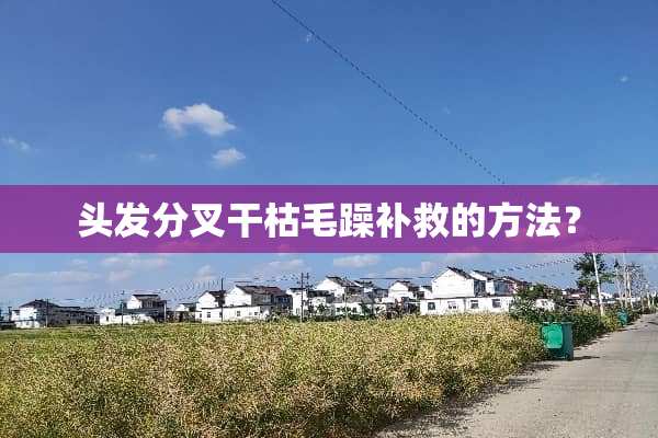 头发分叉干枯毛躁补救的方法？