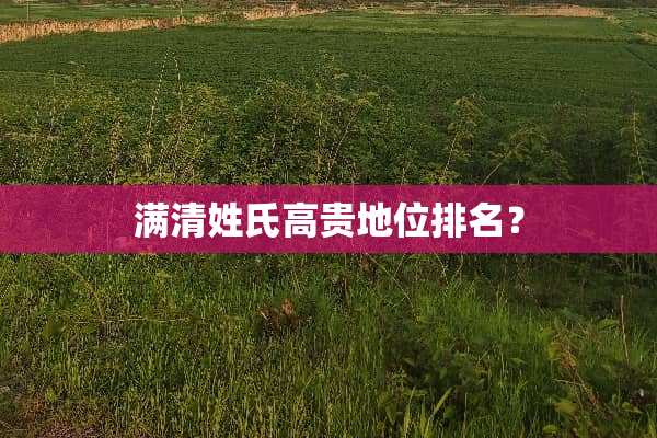 满清姓氏高贵地位排名？