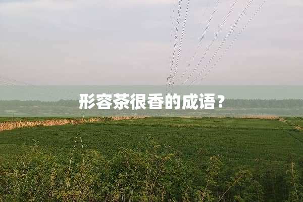形容茶很香的成语？