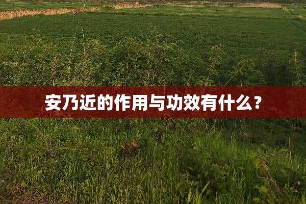 安乃近的作用与功效有什么？