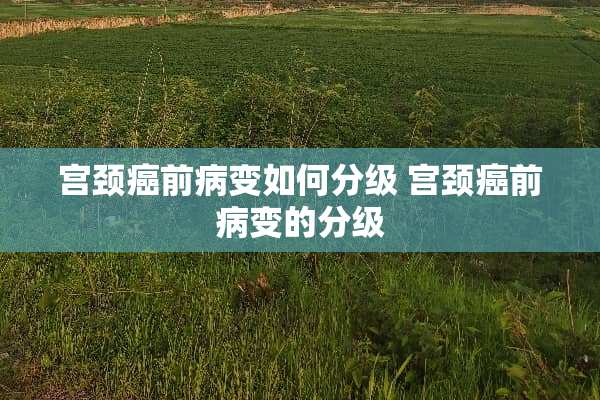 宫颈癌前病变如何分级 宫颈癌前病变的分级