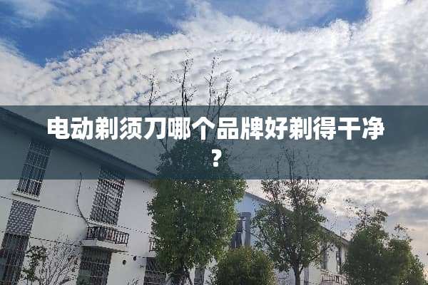电动剃须刀哪个品牌好剃得干净？